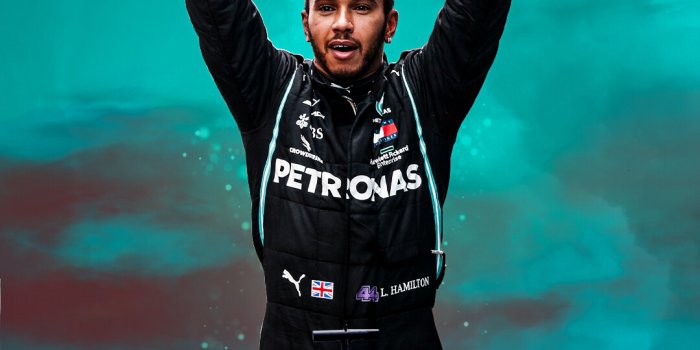 1080x1920 Lewis Hamilton F1 Wallpapers