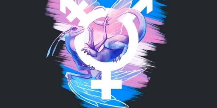 918x1280 Pin on cool bi and trans background