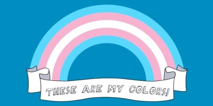 750x1334 Trans Phone Wallpapers