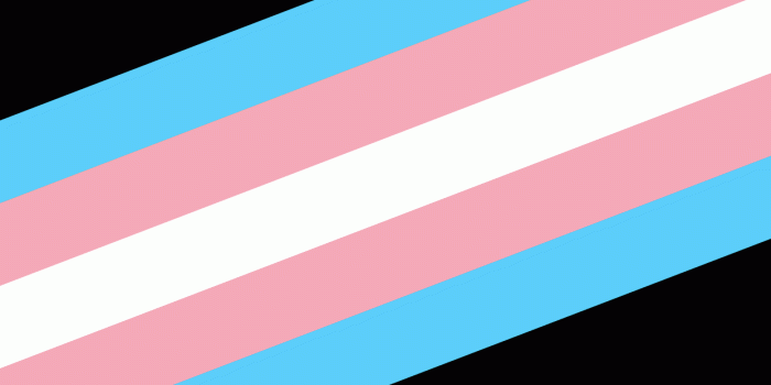 1243x2436 Trans Pride Wallpapers