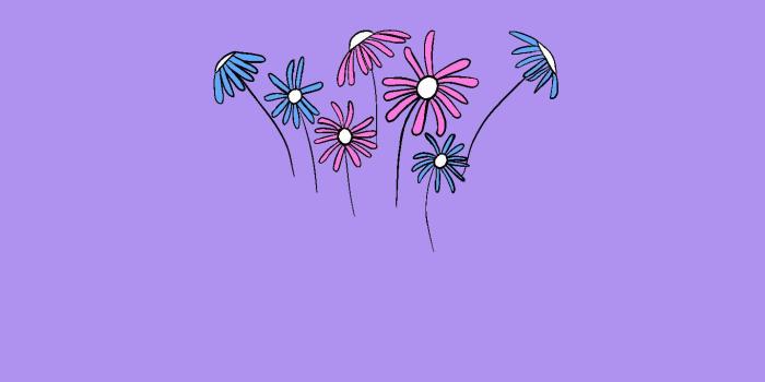 1436x3113 Discreet trans wallpaper! : r/lgbt