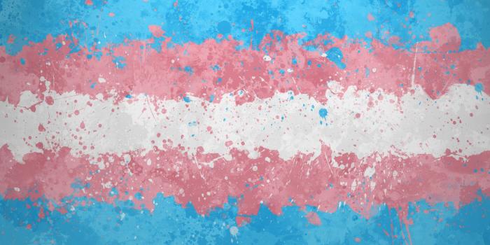 1920x1080 Transgender Wallpapers - Top Free Transgender Backgrounds - WallpaperAccess