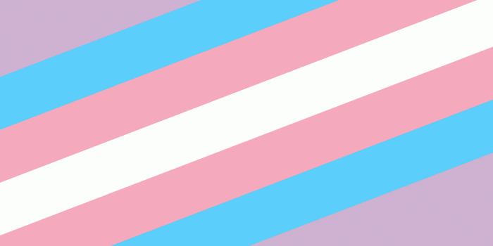 1243x2436 Trans Pride Flag Phone Wallpapers