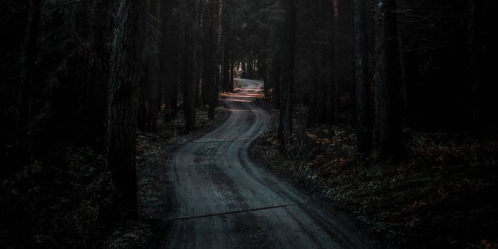 1920x1280 Free Dark Forest Wallpaper Downloads, [115+] Dark Forest Wallpapers for  FREE | Wallpapers.com