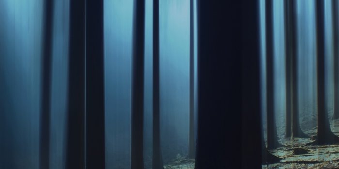 1125x2436 Dark Forest Wallpaper 4K, Woods, Night time, Dark, Nature, #2508