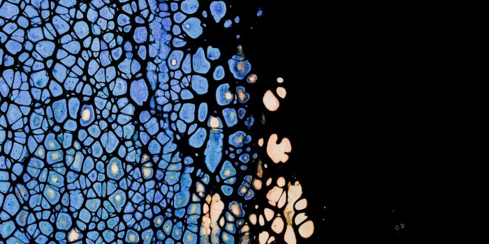 1900x3040 Free download True black and OLED optimized iPhone 11 Pro wallpapers  [1900x3040] for your Desktop, Mobile & Tablet | Explore 47+ iPhone 11 Pro  4k 2020 Wallpapers | 4K Wallpaper iPhone, 11 iPhone Wallpaper iOS, iPhone  11 Wallpapers