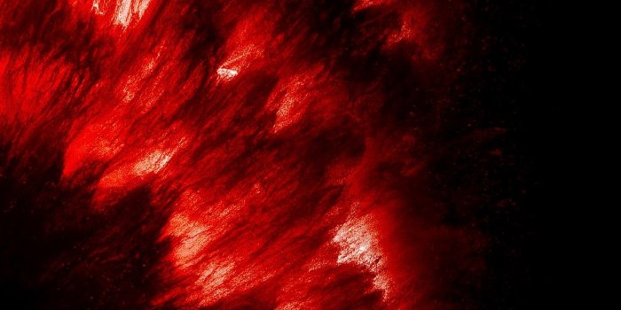 1242x2688 Best Wallpaper for iPhone 11 Pro Max (YTECHB.com) | Iphone wallpaper blur,  Apple wallpaper iphone, Samsung wallpaper android