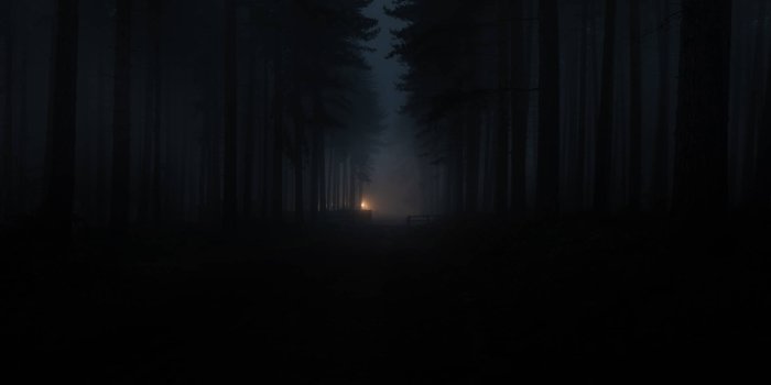 1920x1280 Download Dark Forest Pathway Light Wallpaper | Wallpapers.com