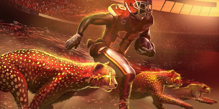 1920x1283 The Cheetah Tyreek Hill Kansas City Chiefs - Etsy
