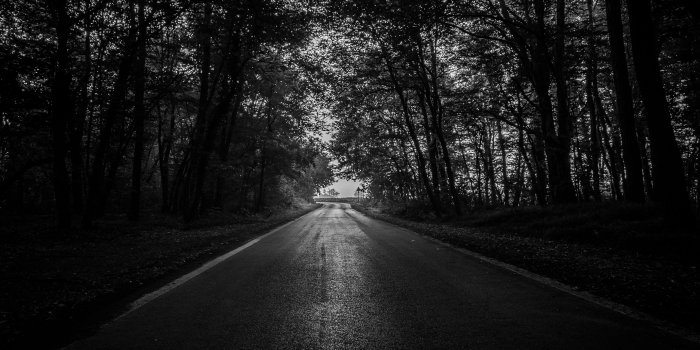 3840x2160 374534 road, trees, bw, dark, forest 4k - Rare Gallery HD Wallpapers