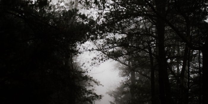 1350x2400 Download wallpaper 1350x2400 dark, forest, road iphone 8+/7+/6s+/6+ for  parallax hd background