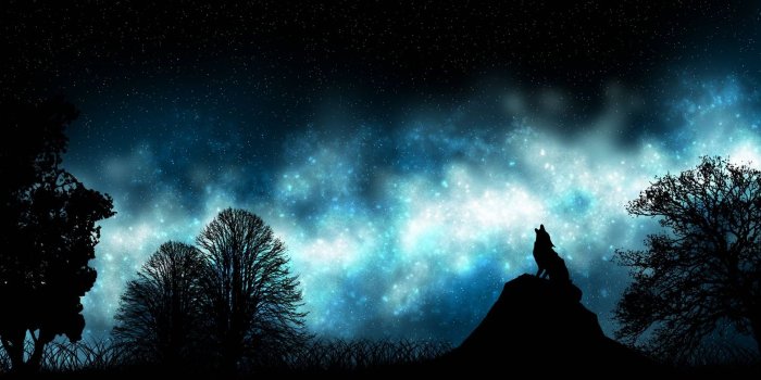 3360x700 Triple monitor multi screen multiple loup wolf stars etoiles wallpaper |  5760x1200 | 534150 | WallpaperUP