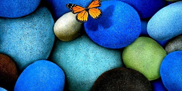 1257x1059 More Popular HD Wallpapers