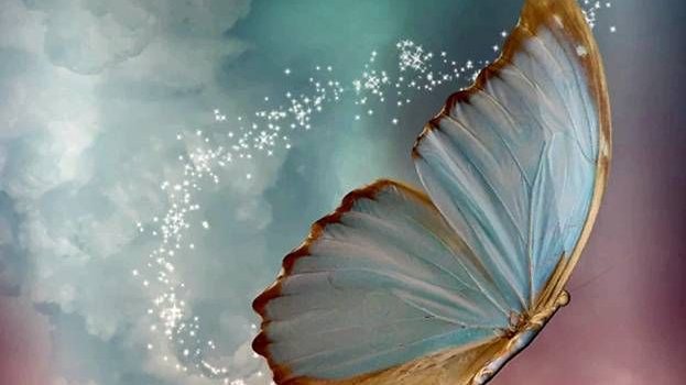 623x1280 Download MajicalButterflies wallpaper by NikkiFrohloff - 7e - Free on  ZEDGE™ now. Browse millio… | Scenery wallpaper, Wallpaper wa, Beautiful wallpapers  backgrounds