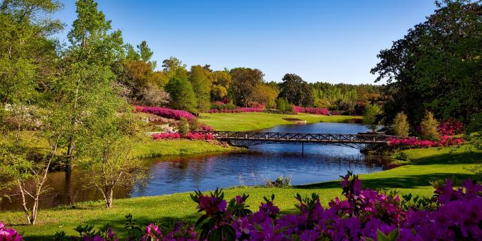 2200x1376 Park Wallpaper Photos, Download Free Park Wallpaper Stock Photos & HD Images