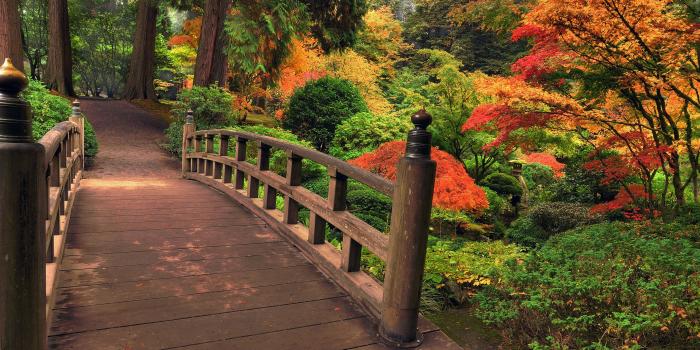 3000x2000 Park Backgrounds