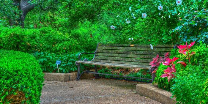 1920x1200 2880x1800 Bench in Spring Park Wallpaper Background Image. View, download,  comment, and rate - Wallpaper A… | Hdr pictures, Background images, Blur  photo background