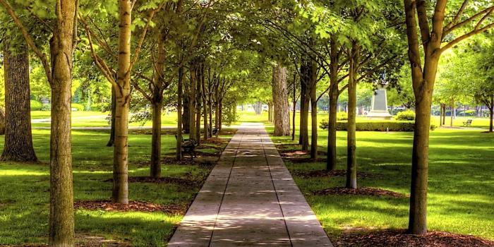 1600x1200 City Park Wallpapers - Top Free City Park Backgrounds - WallpaperAccess