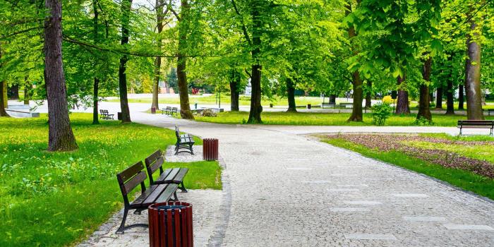 2560x1440 Beautiful Park Wallpapers