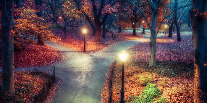 5120x2880 Central Park Wallpaper 4K, New York City, Nature, #2110