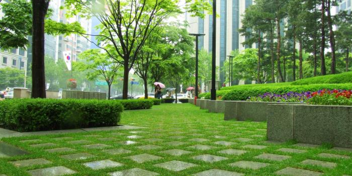 3488x2616 Park HD Wallpaper