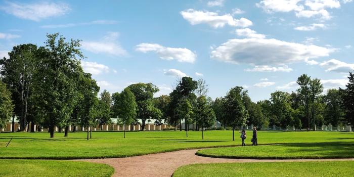 1000x1333 Jurassic Park Wallpaper Online Wholesale, Save 59% | jlcatj.gob.mx