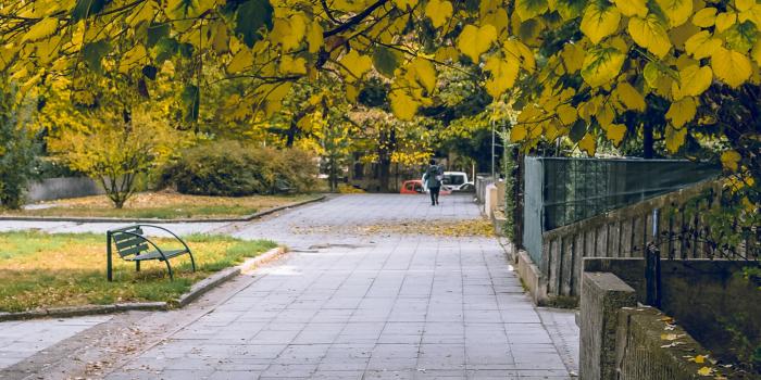 2000x2992 Park Bench Photos, Download Free Park Bench Stock Photos & HD Images