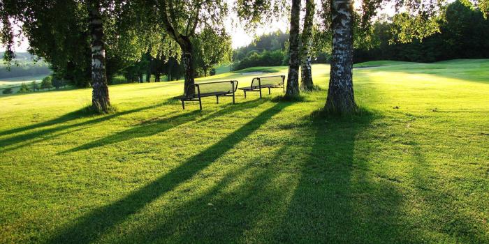 1920x1080 Parks Wallpapers