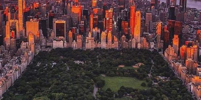 824x1602 Top 35 Central Park Wallpapers [ 4k + HD ]