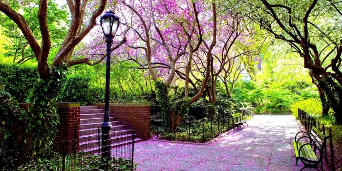 1920x1200 Spring Park Wallpapers - Top Free Spring Park Backgrounds - WallpaperAccess