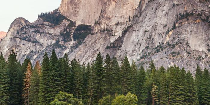 1000x1651 100+ Yosemite Pictures | Download Free Images on Unsplash