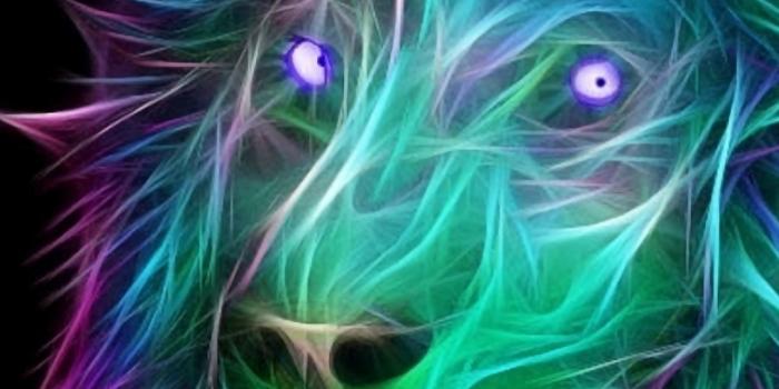 1284x2778 Abstract 3D Art Lion Colorful Hair iPhone Wallpapers Free Download
