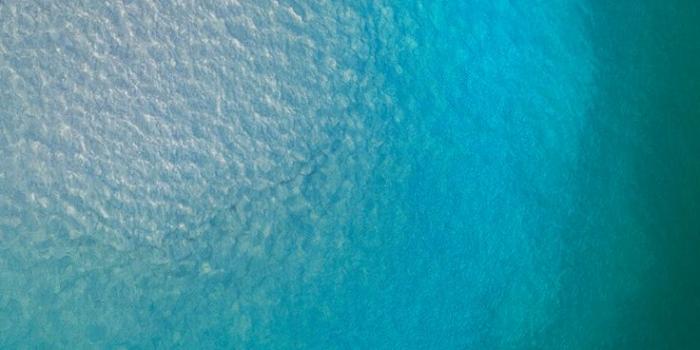 736x1592 iPhone 14 Pro Concept Wallpaper | Cellphone wallpaper backgrounds, New wallpaper  iphone, Android wallpaper