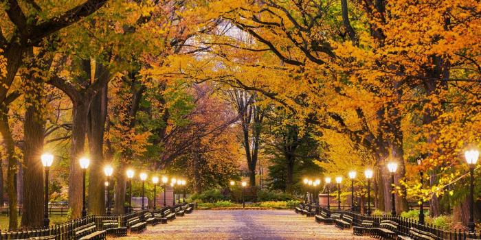 1920x1080 Autumn Central Park Wallpapers