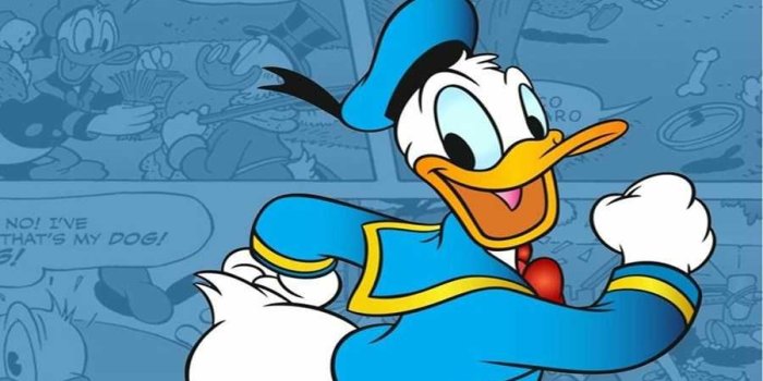 900x1600 Donald Duck Wallpapers Discover more Cartoon, Disney, Donald Duck, Walt  Disney w… | Papier peint disney, Fond d'écran dessin animé, Fond d'écran de  téléphone disney