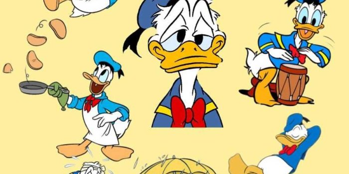 900x1600 Donald Duck Wallpaper Discover more Cartoon, Disney, Donald Duck, Walt  Disney wallpaper. https://www.ixpa… | Duck wallpaper, Disney wallpaper,  Cute disney wallpaper