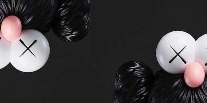 700x1516 Bearbrick iPhone Wallpapers