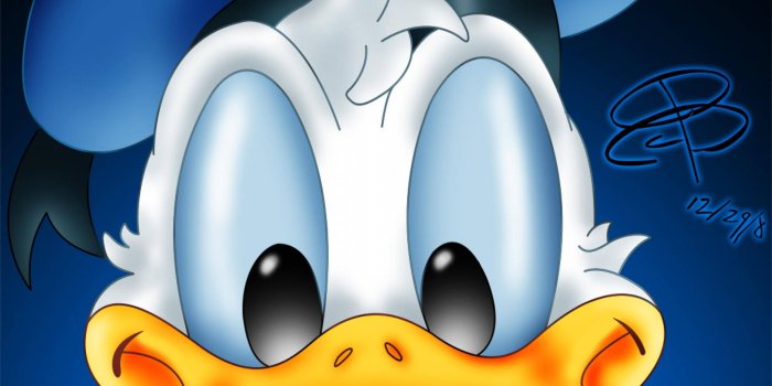 1920x1440 Download Donald Duck Wallpaper