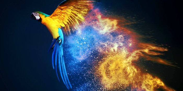 1280x960 OS Wallpapers on Twitter: 