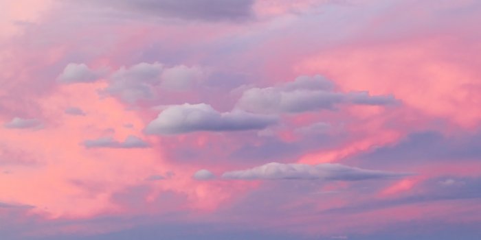 1000x1500 500+ Pink Sky Pictures | Download Free Images on Unsplash