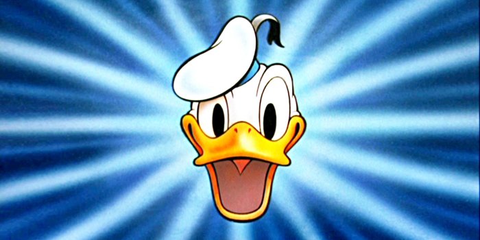 2560x1526 Donald Duck Wallpaper (56+ pictures)