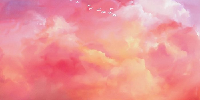 1280x1280 Download wallpaper 1280x1280 birds, flock, pink, sky ipad, ipad 2, ipad  mini for parallax hd background