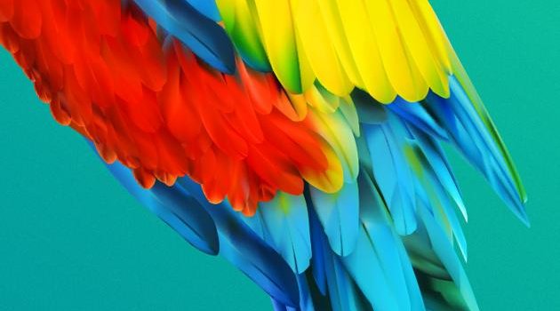 630x1280 Parrot wallpaper by ShoaibRaza06 - Download on ZEDGE™ | 96a9