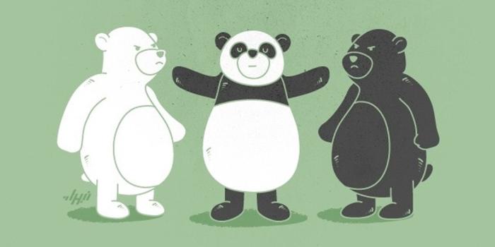 1080x1920 Cute & Funny Animals Wallpapers | Funny illustration, Cartoon wallpaper, Animal  wallpaper