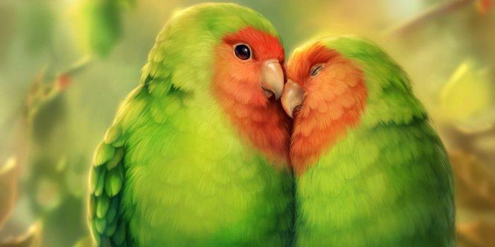 1920x1080 Desktop Wallpaper Parrot, Birds, Love, Hd Image, Picture, Background, 52c80c