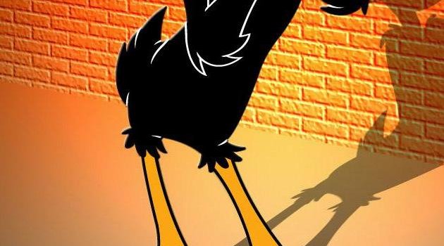 630x1280 donald duck wallpaper by eminemout - Download on ZEDGE™ | 4593