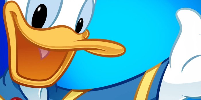 2524x2524 Donald Duck in blue - Cartoon wallpaper