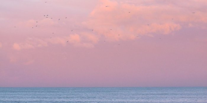 1000x1500 Pink Skies Wallpapers - Top Free Pink Skies Backgrounds - WallpaperAccess