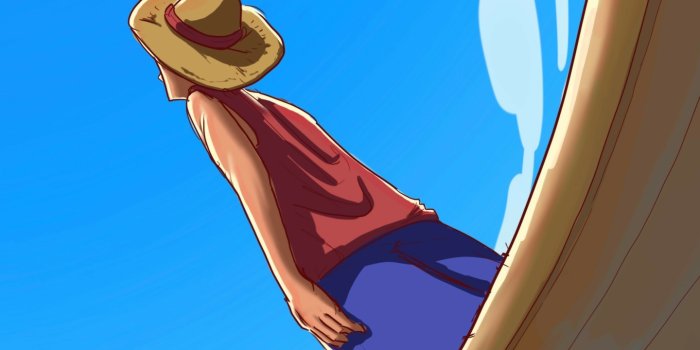 1440x3216 Anime One Piece Phone Wallpaper