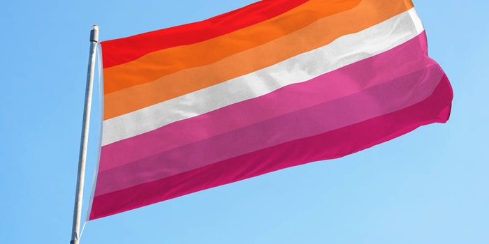 1000x1000 Free Lesbian Flag Wallpaper Downloads, [100+] Lesbian Flag Wallpapers for  FREE | Wallpapers.com